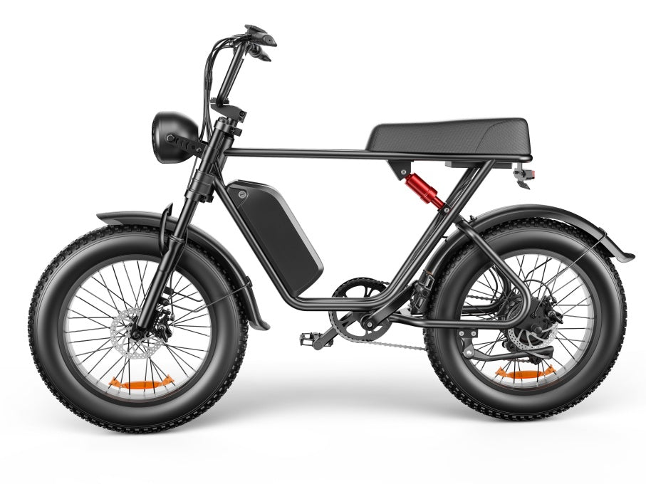 C91 - 20 Inch 20A Electric Bike ---- Purchase Style, Please Check The Details - Loving My Life Outdoors