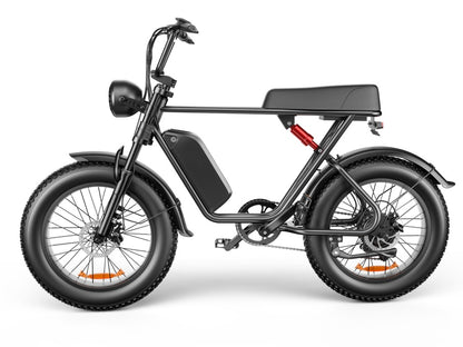 C91 - 20 Inch 20A Electric Bike ---- Purchase Style, Please Check The Details - Loving My Life Outdoors