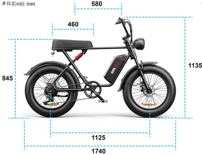 C91 - 20 Inch 20A Electric Bike ---- Purchase Style, Please Check The Details - Loving My Life Outdoors