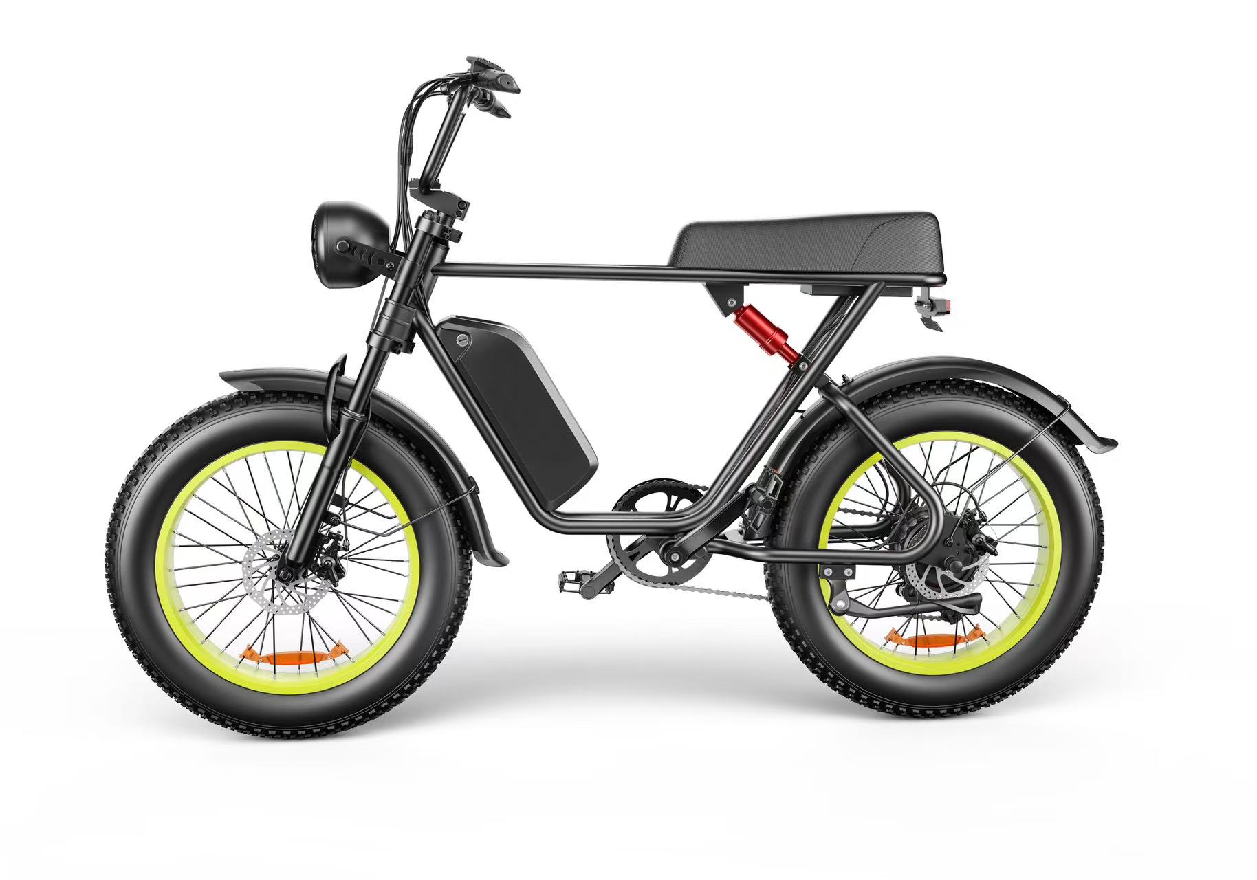 C91 - 20 Inch 20A Electric Bike ---- Purchase Style, Please Check The Details - Loving My Life Outdoors