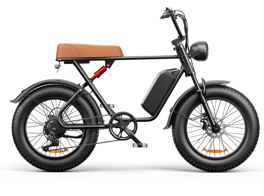 C91 - 20 Inch 20A Electric Bike ---- Purchase Style, Please Check The Details - Loving My Life Outdoors