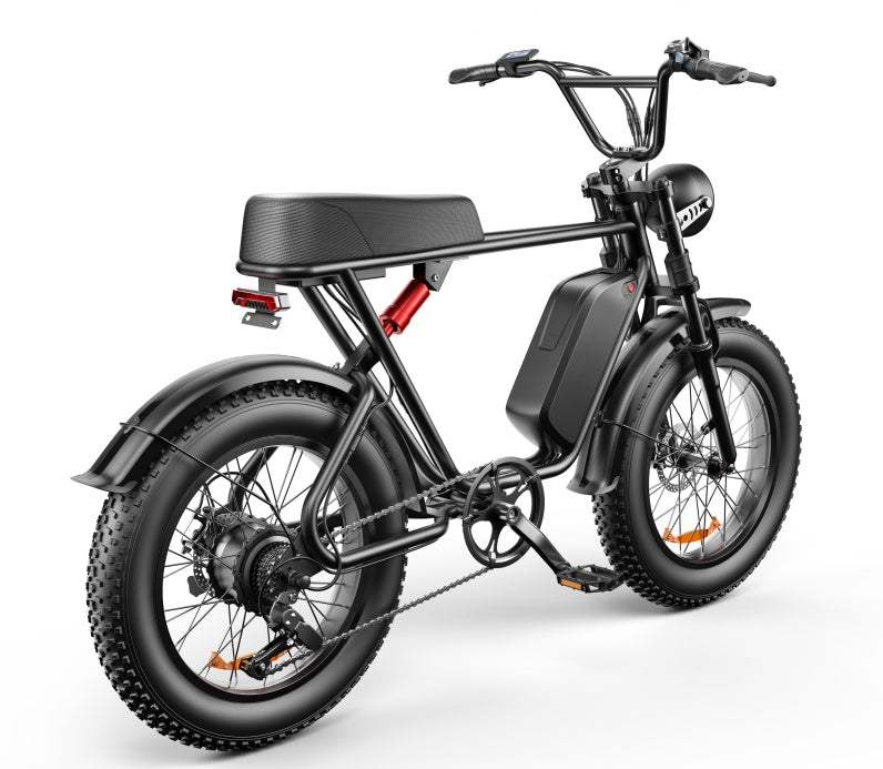C91 - 20 Inch 20A Electric Bike ---- Purchase Style, Please Check The Details - Loving My Life Outdoors