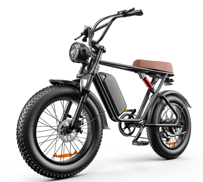 C91 - 20 Inch 20A Electric Bike ---- Purchase Style, Please Check The Details - Loving My Life Outdoors